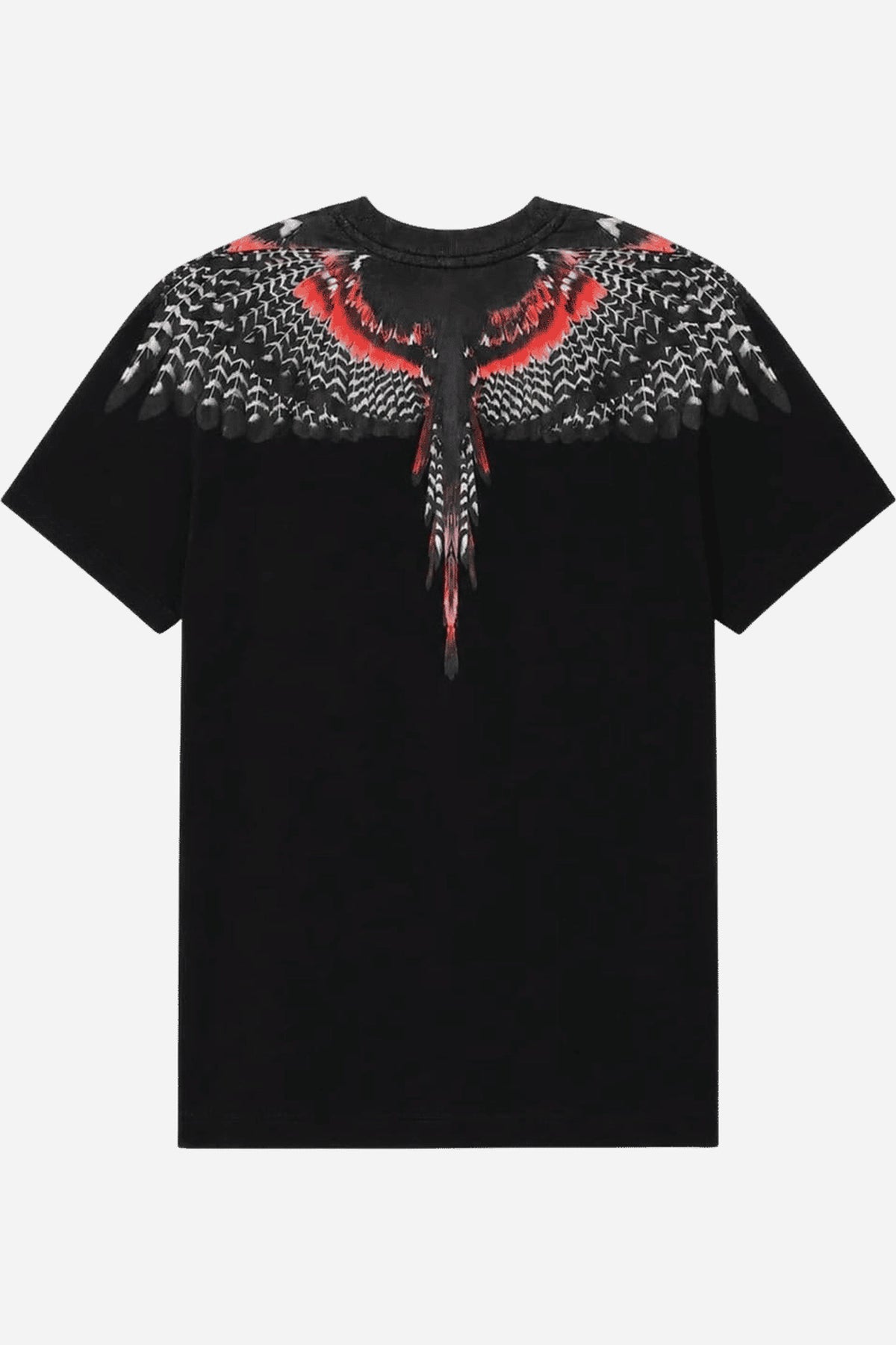 County Of Milan T-shirt uomo stampa piume
